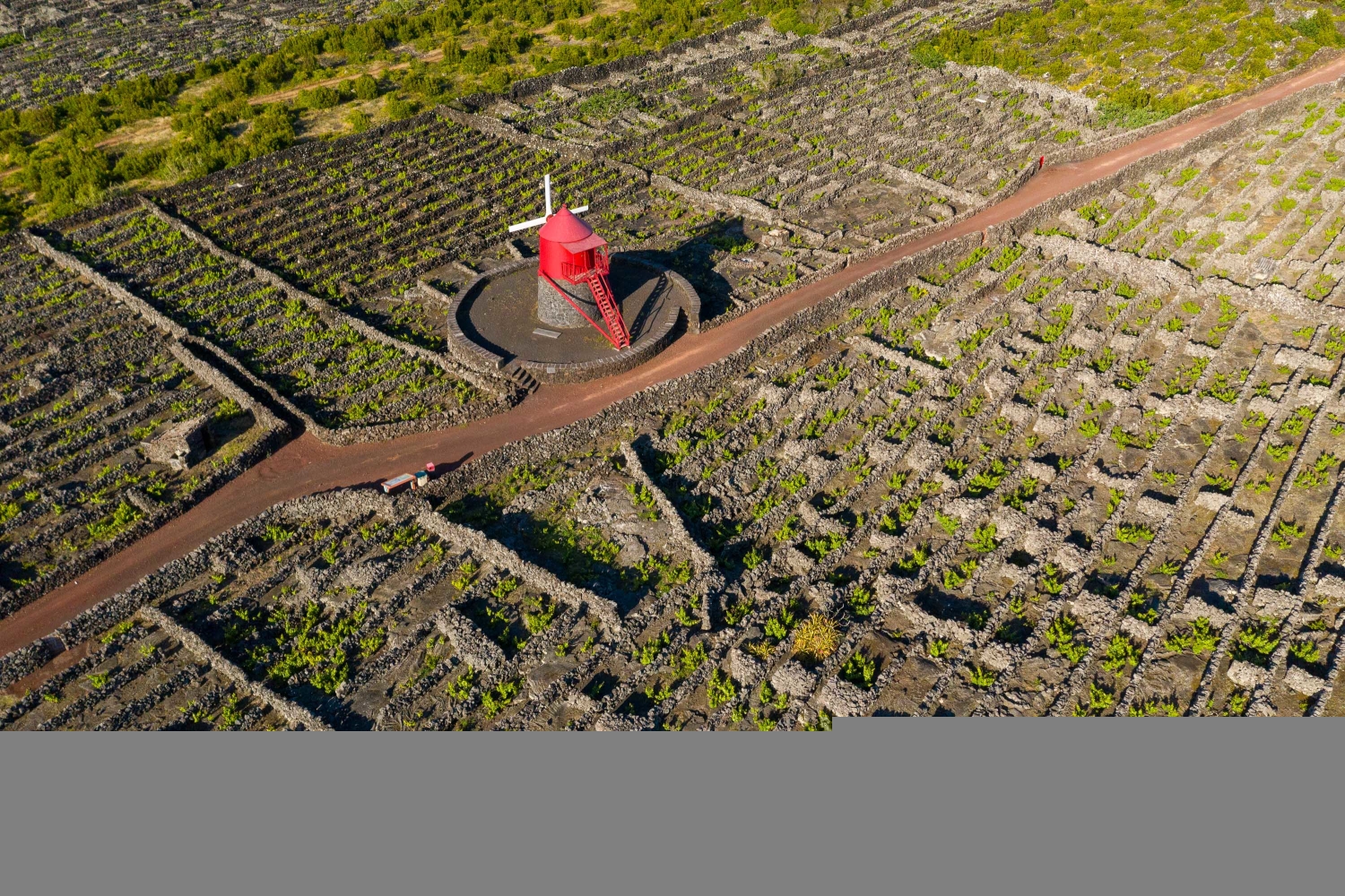 Vinhas da Criação Velha, Pico, Açores, Portugal