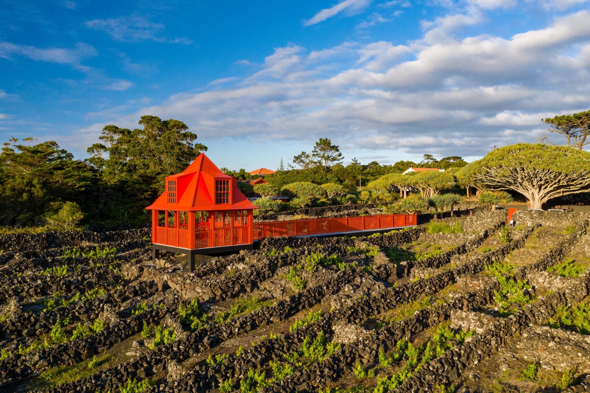 Museu do Vinho, Pico