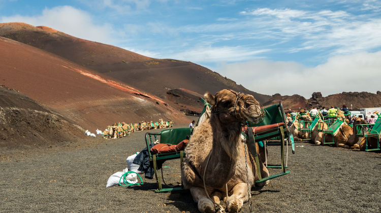 Parque Nacional de Timanfaya