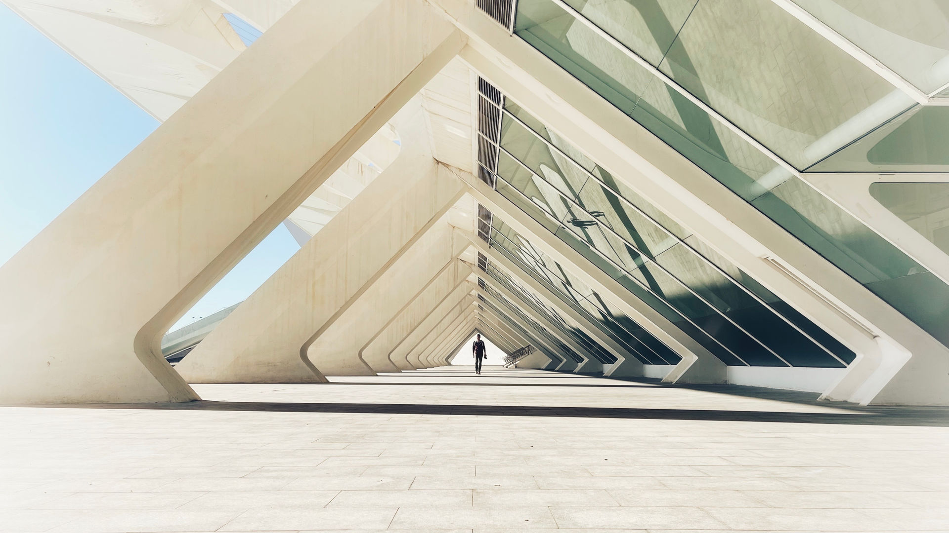 Cidade das Artes e das Ciências, Valência