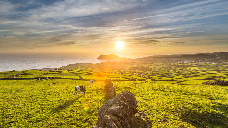Açores, Ilha Terceira