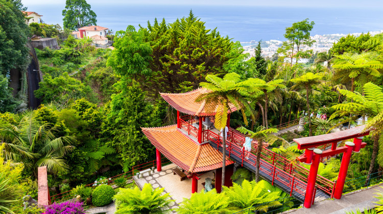 Step into serenity at Monte Palace Tropical Garden