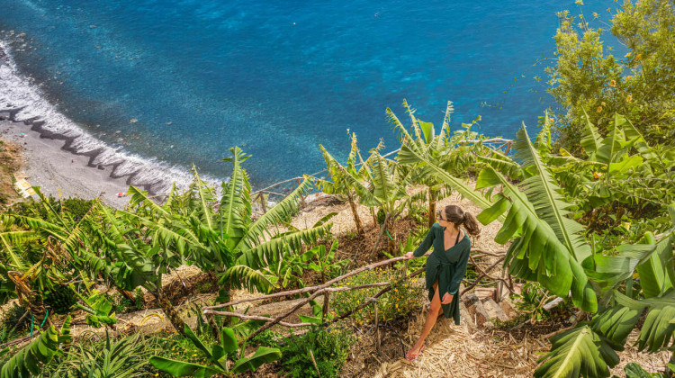 Hike through Madeira’s coastal banana plantations