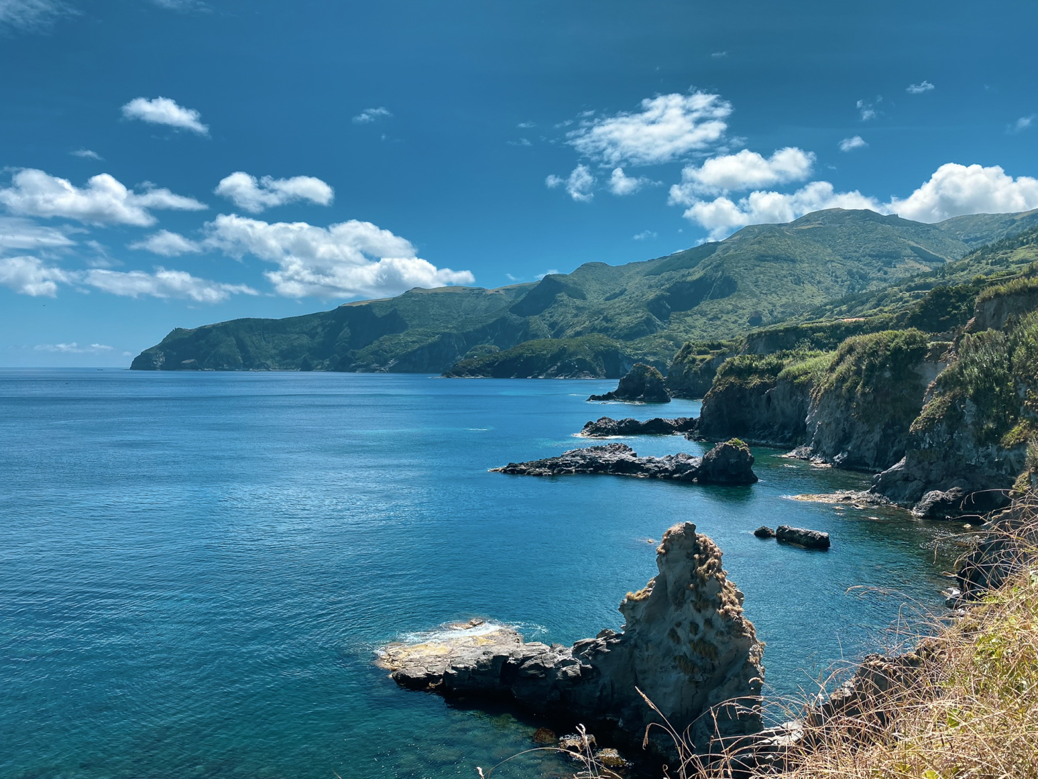 Ponta Delgada coastline, Flores