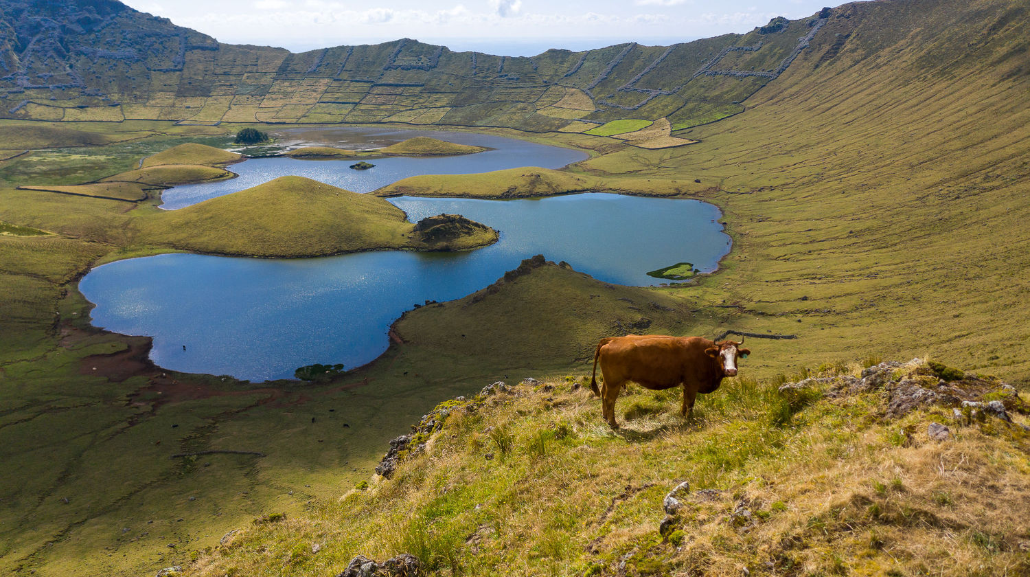 Caldeirão, Corvo Island