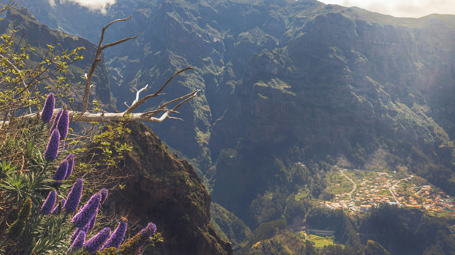 Madeira Island