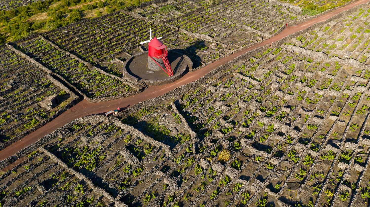 Arrival in Pico Island