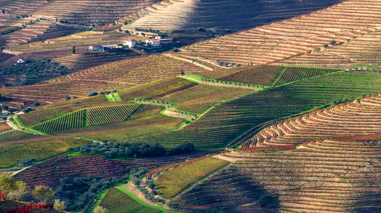 Monday: Last Morning on the Douro River