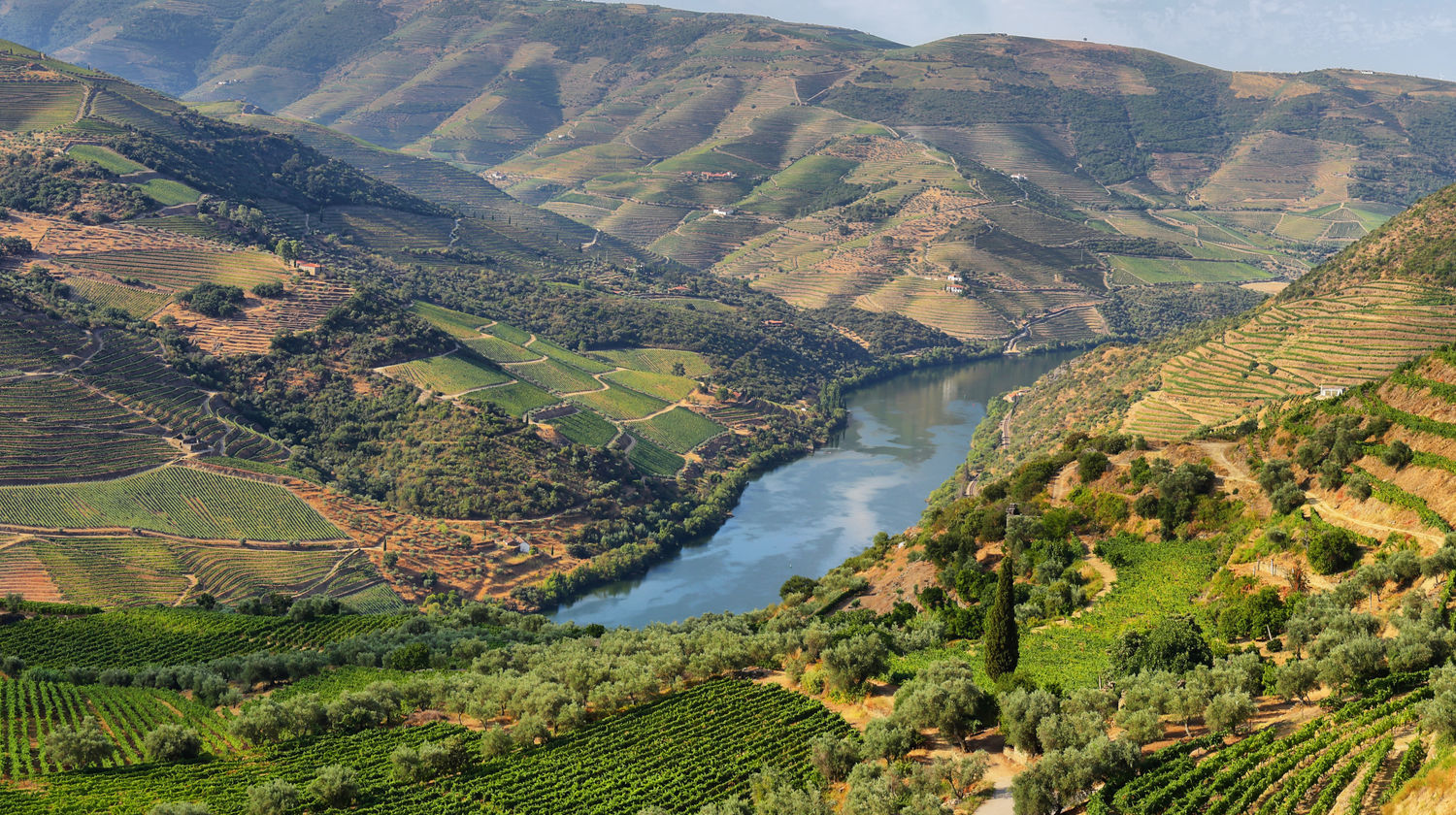 Douro Valley