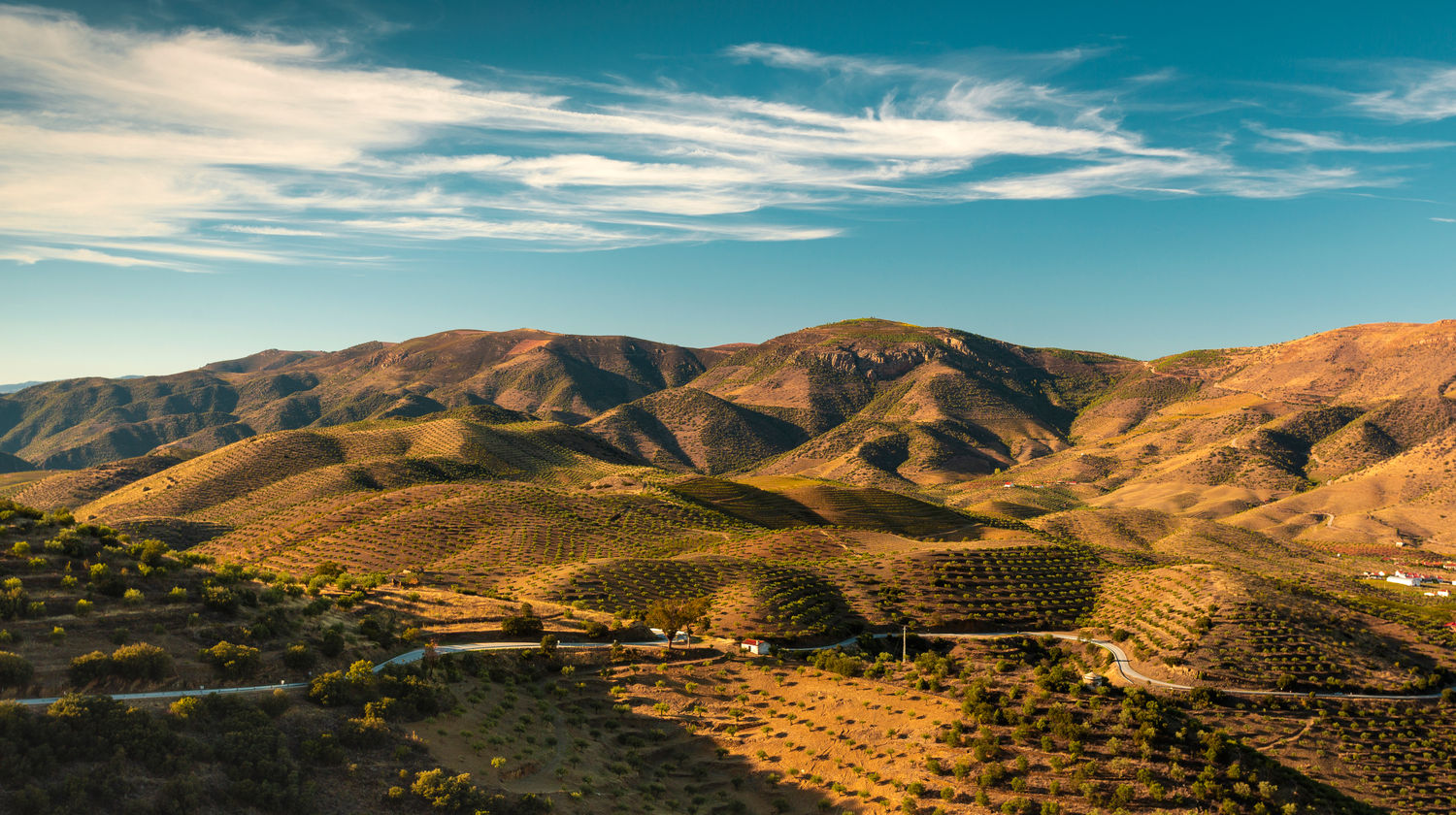 Douro Valley