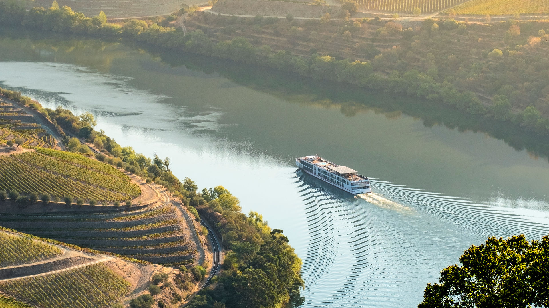 Douro River Cruise through Portugal’s Vineyards