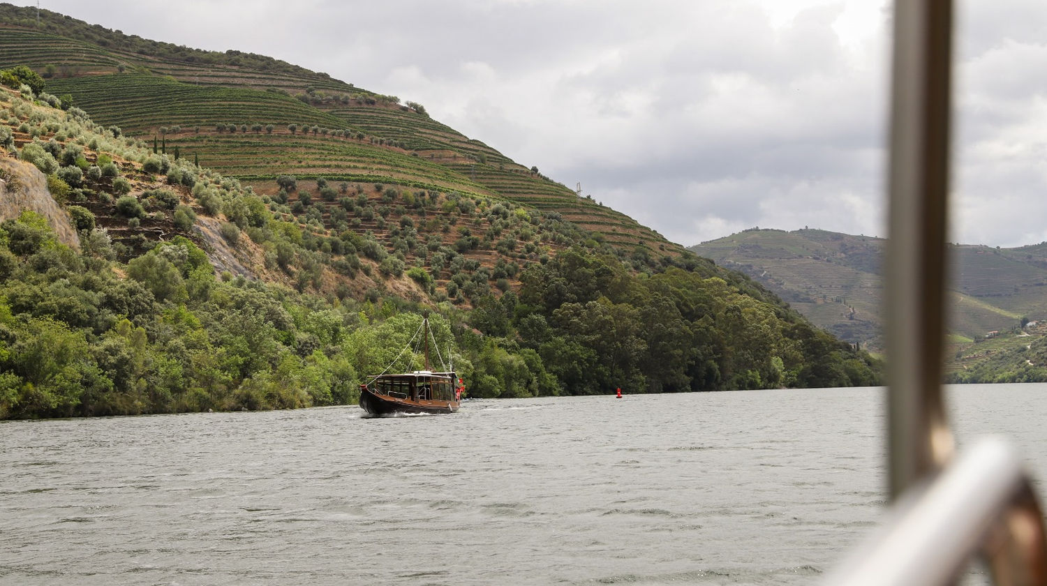<b>Hiking Tour Pinhão – Casal de Loivos & Transfer to Forrester Essence Douro Hotel (Alijó, Douro)</b>