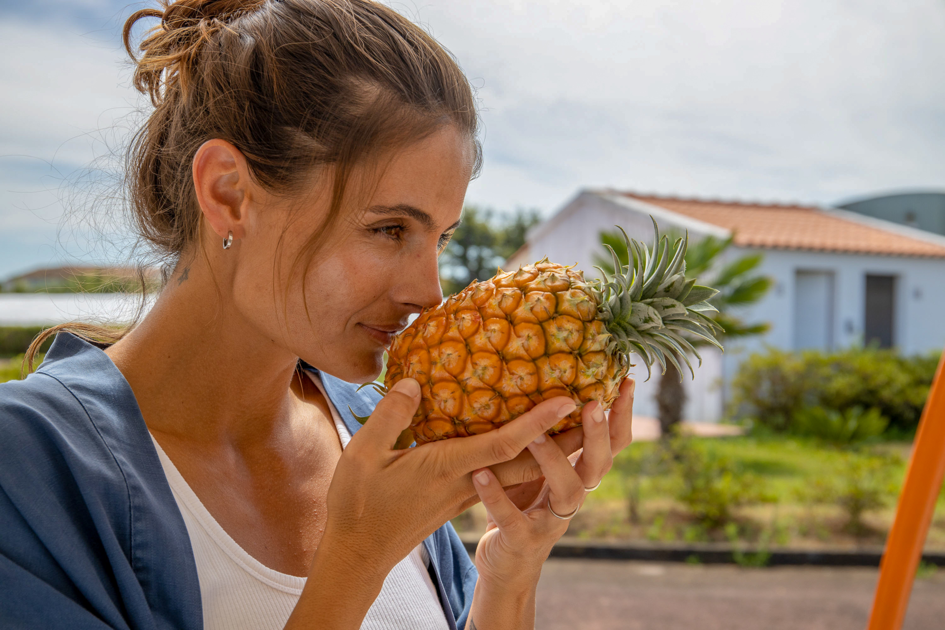 Azores Pineapple, São Miguel