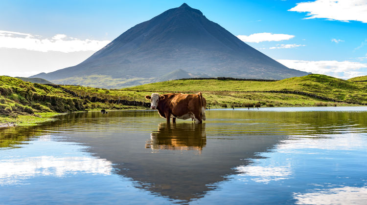 Lagoa do Capitão with Mount Pico in the Background, Pico