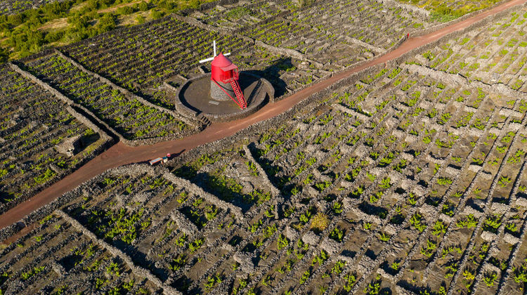 Pico Island, just a short ferry ride from Faial, is part of the Triangle Islands