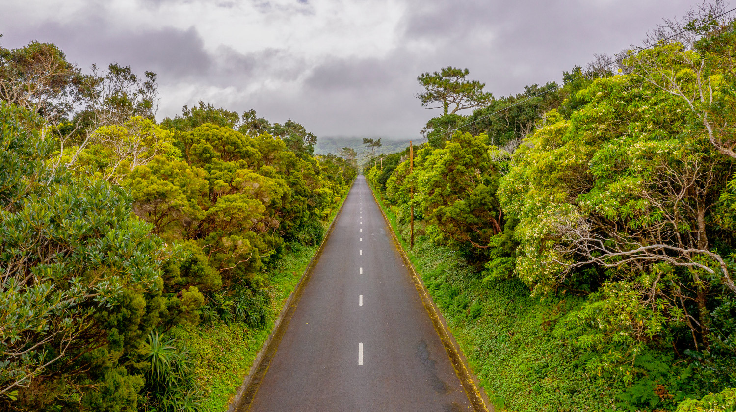 Road in Faial Island