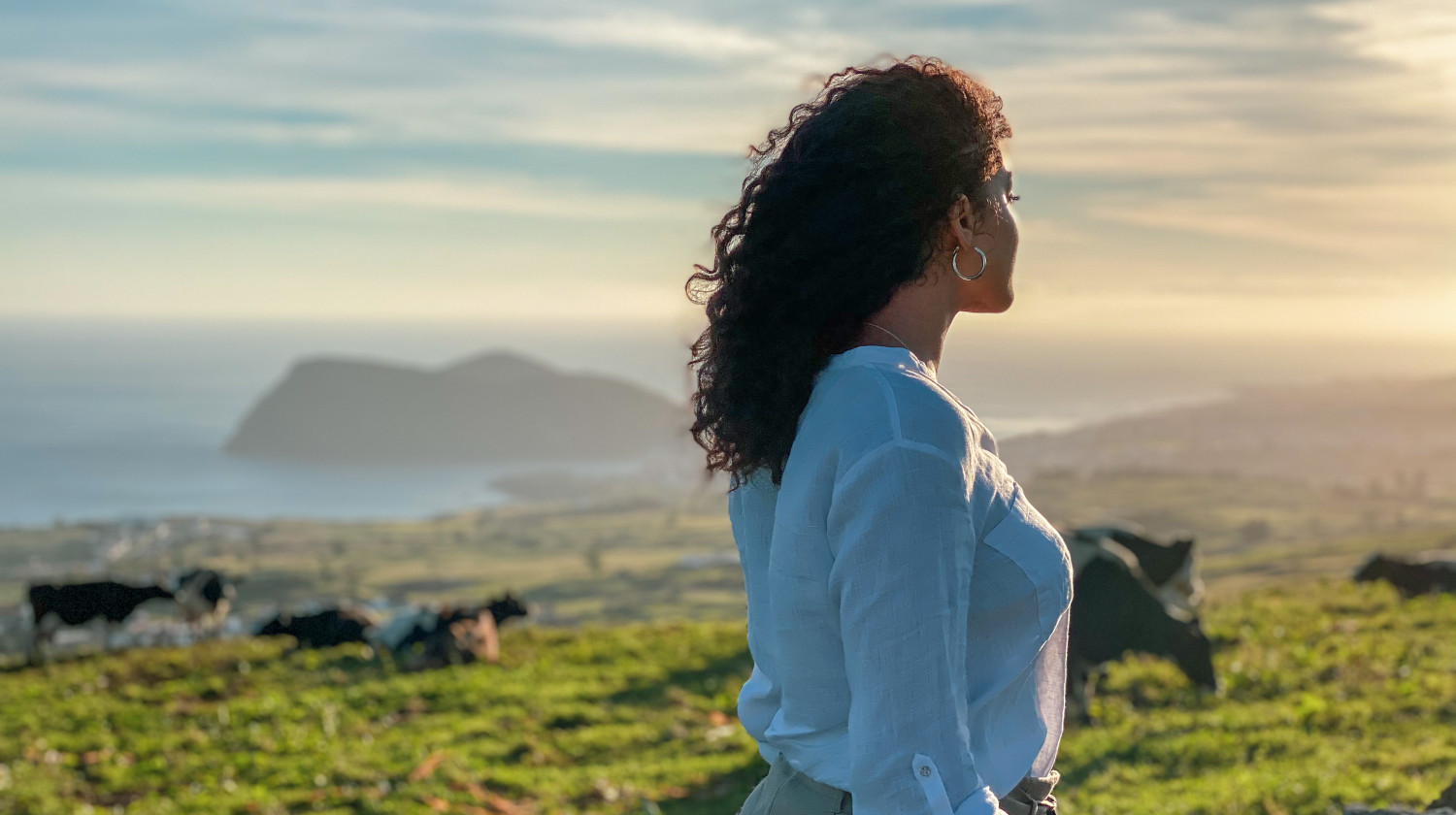 Landscape Terceira Island