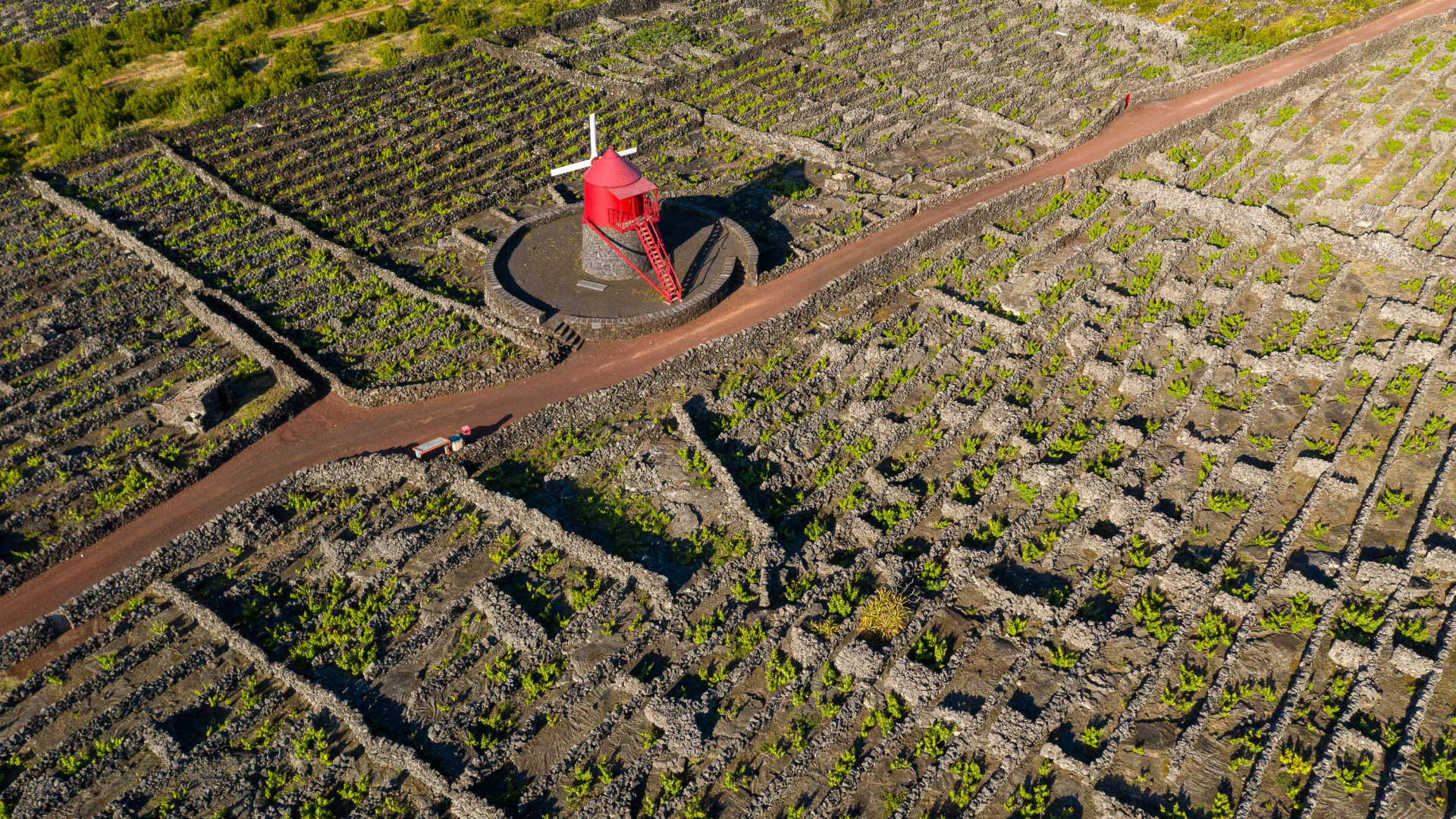 Criação Velha, Pico Island