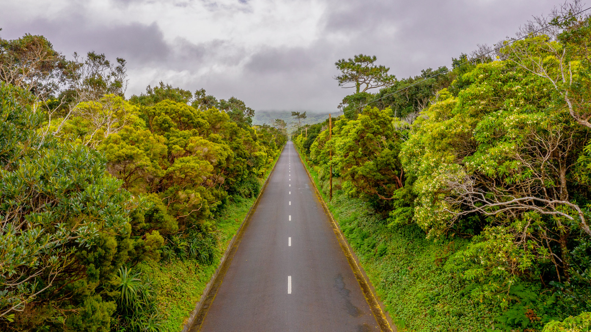 Road in Faial Island