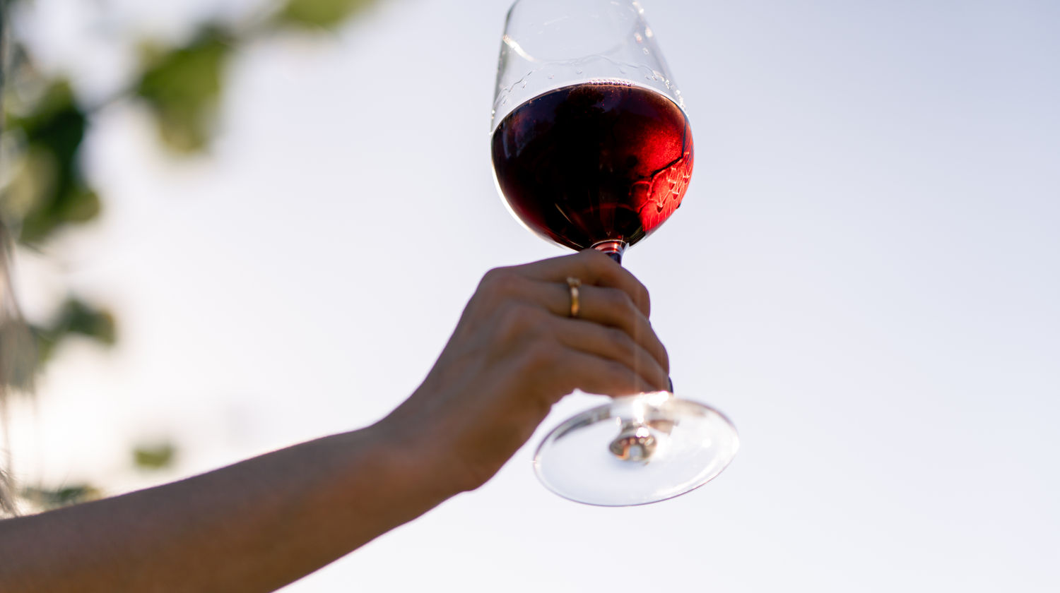 <b>Lisbon City Tour & Wine Tasting (Included)</b>