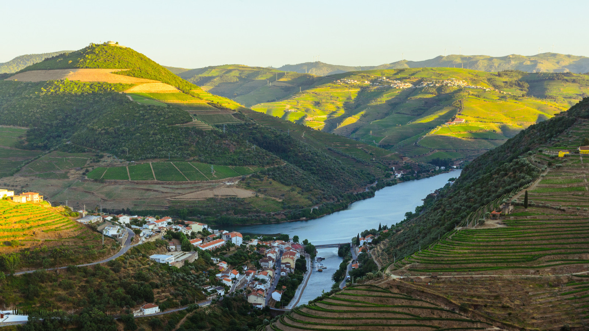 Porto & Douro Valley Port Wine Experience