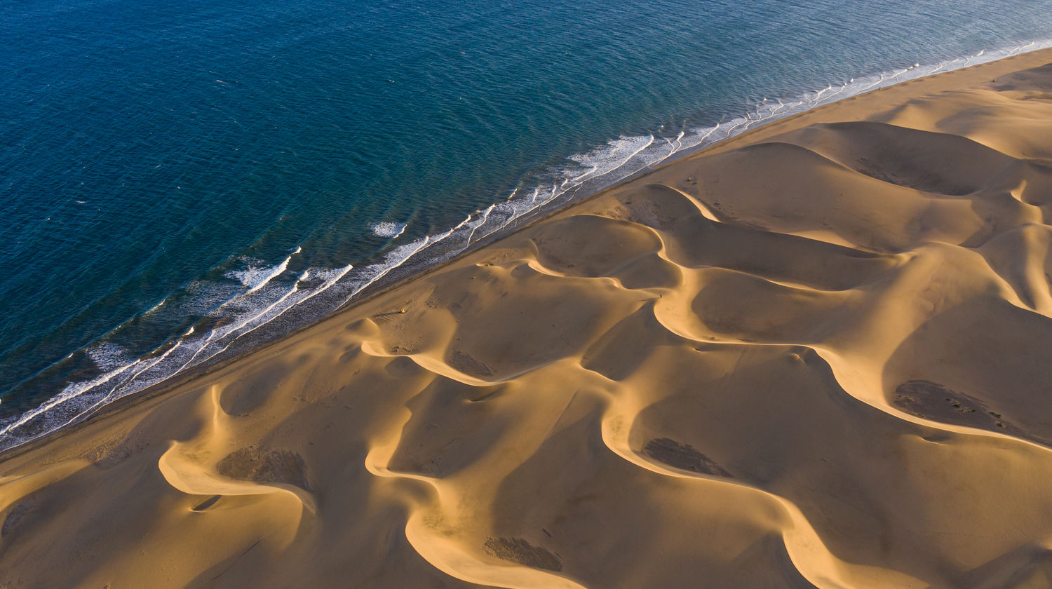 <b>Origen Dinner Show at Sala Scala (Included)</b>