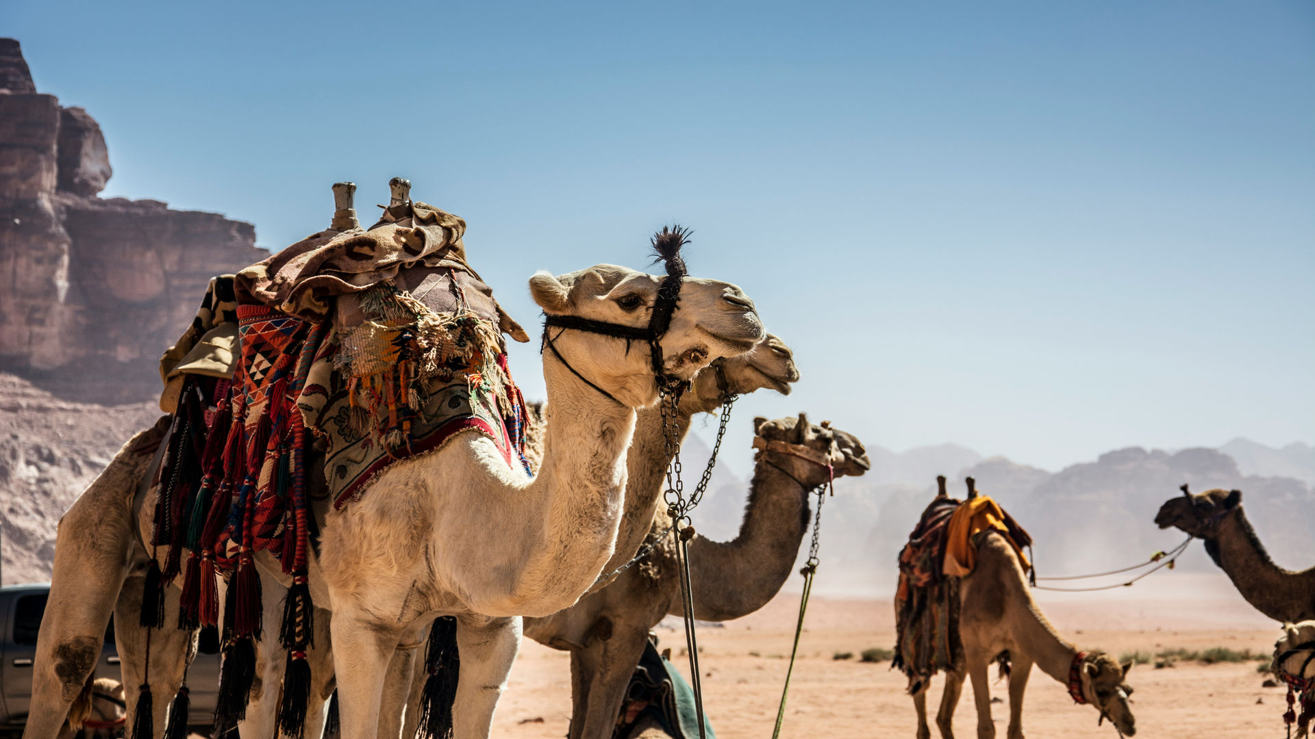 Wadi Rum, Jordan