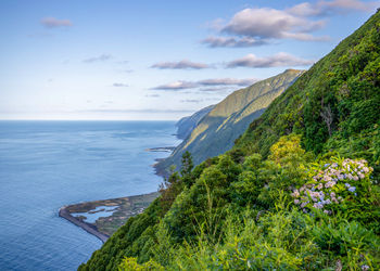 azores travel guide
