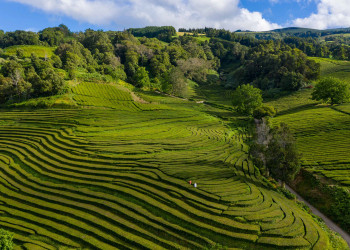 azores tourism