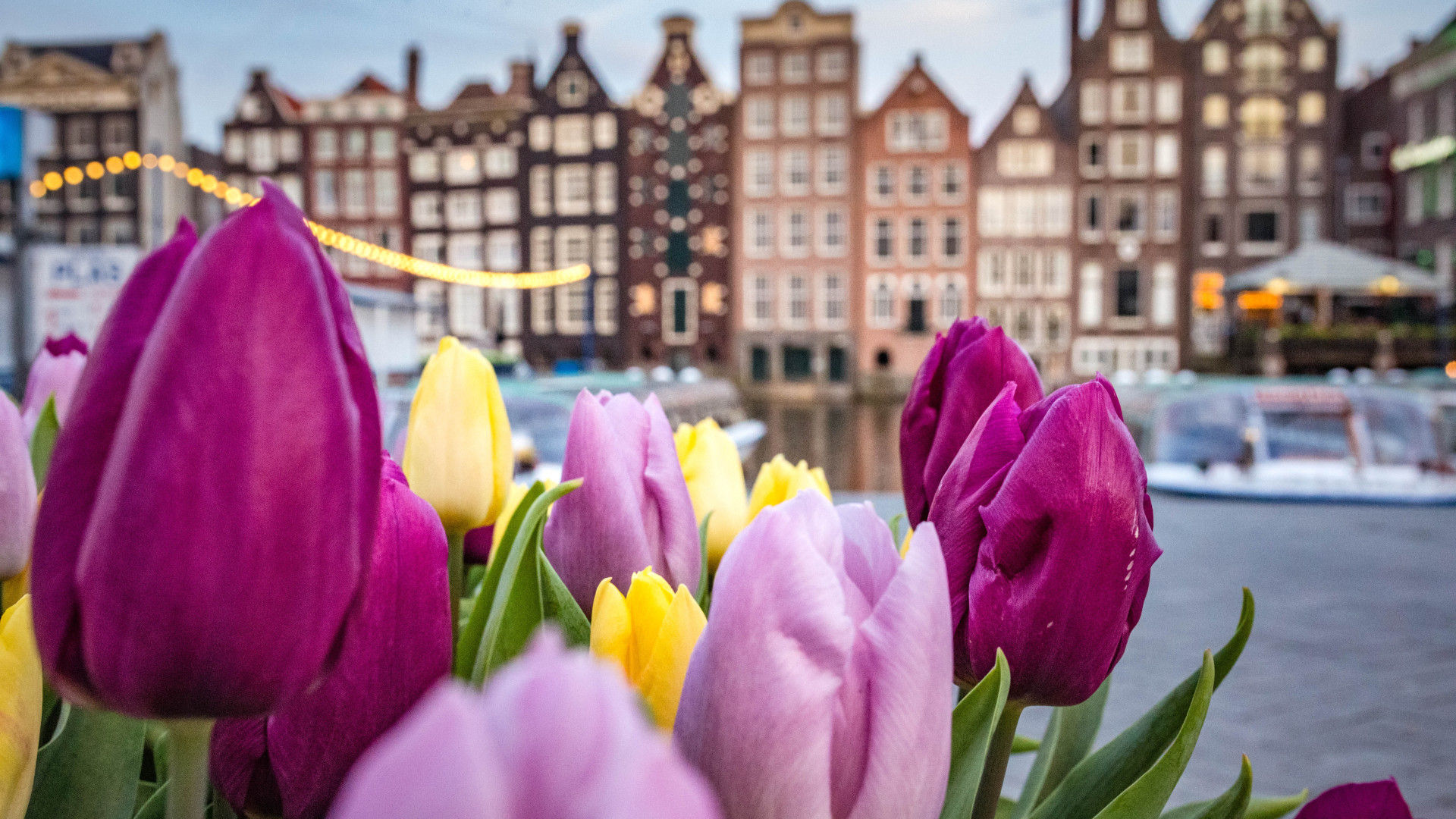 Amsterdam, Netherlands