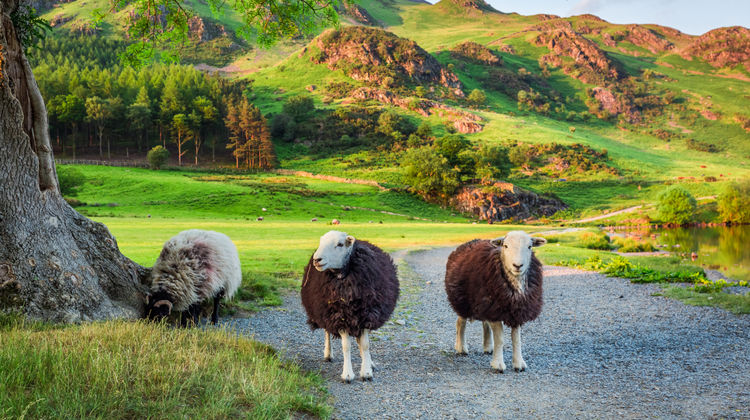 Windermere, The Lake District, United Kingdom