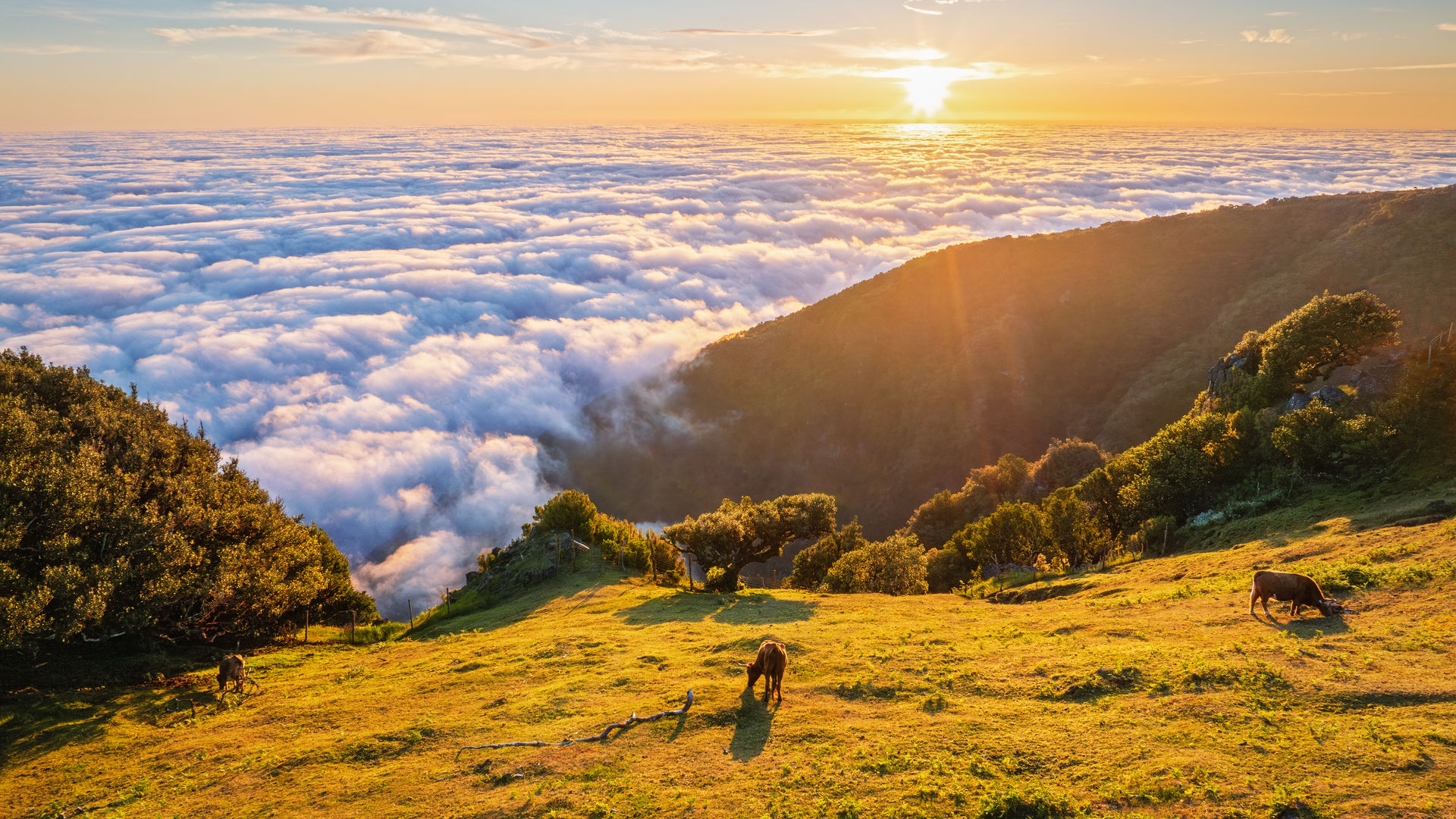 Pico do Arieiro Viewpoint, Madeira Island