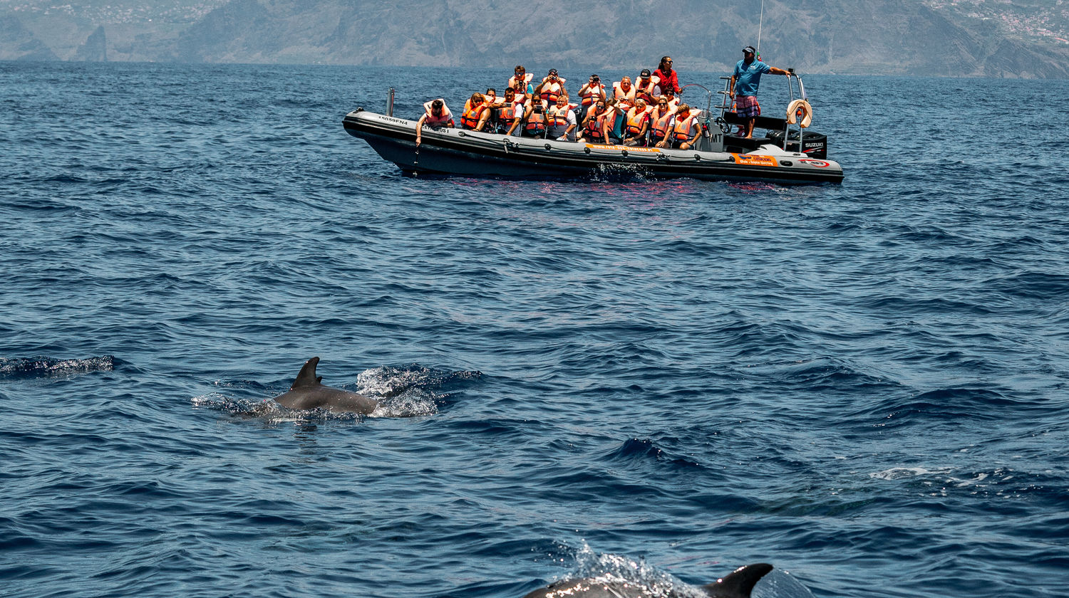 Madeira Island