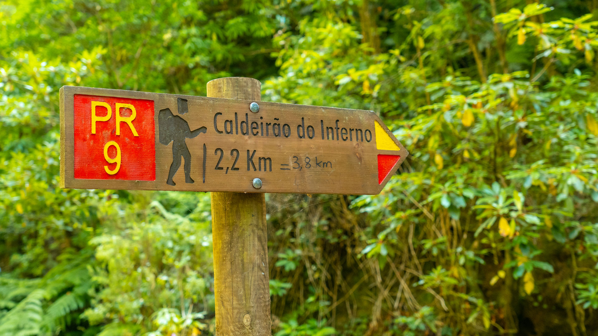 Hiking in Madeira Island, Portugal