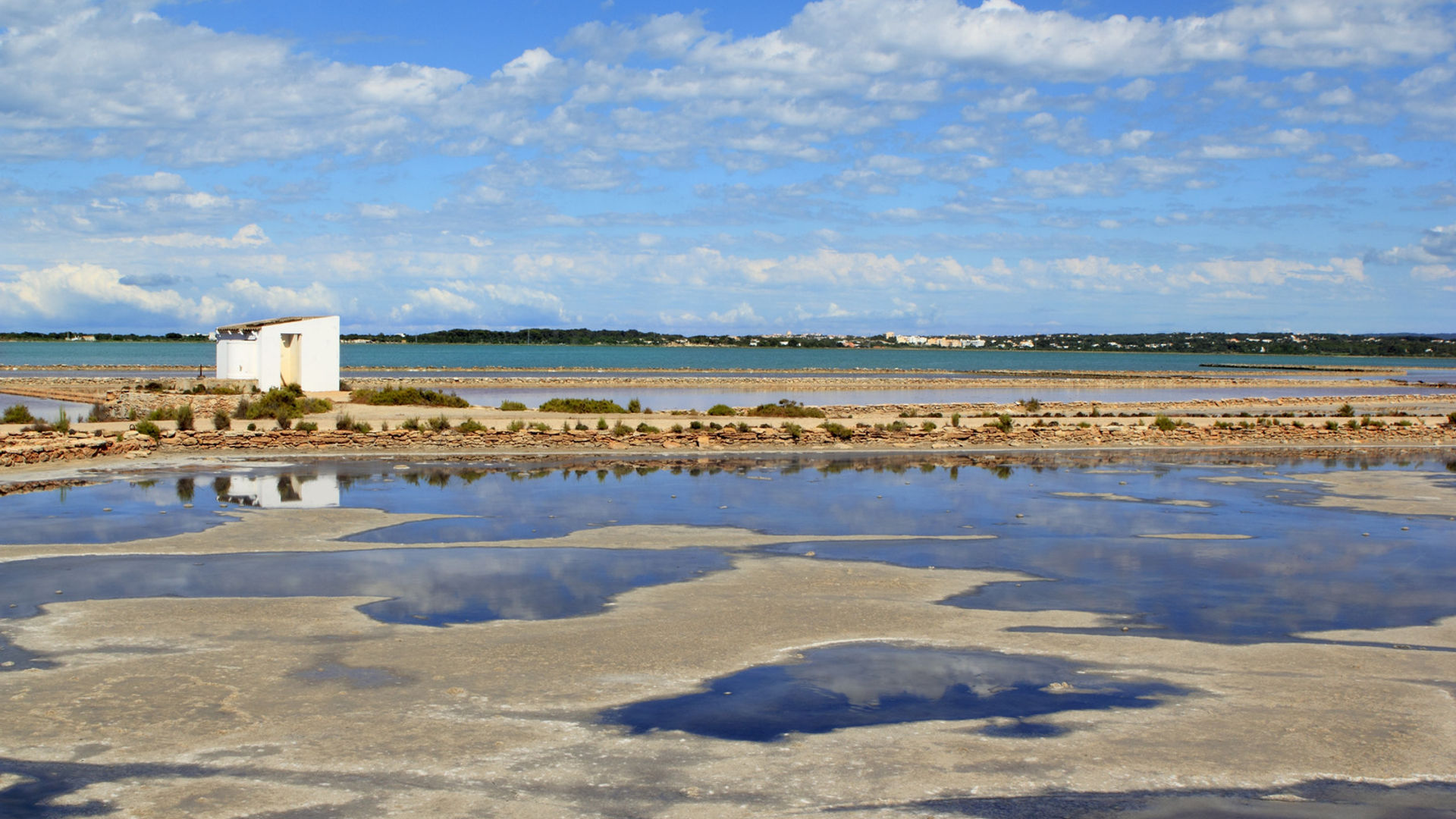 Ses Salines