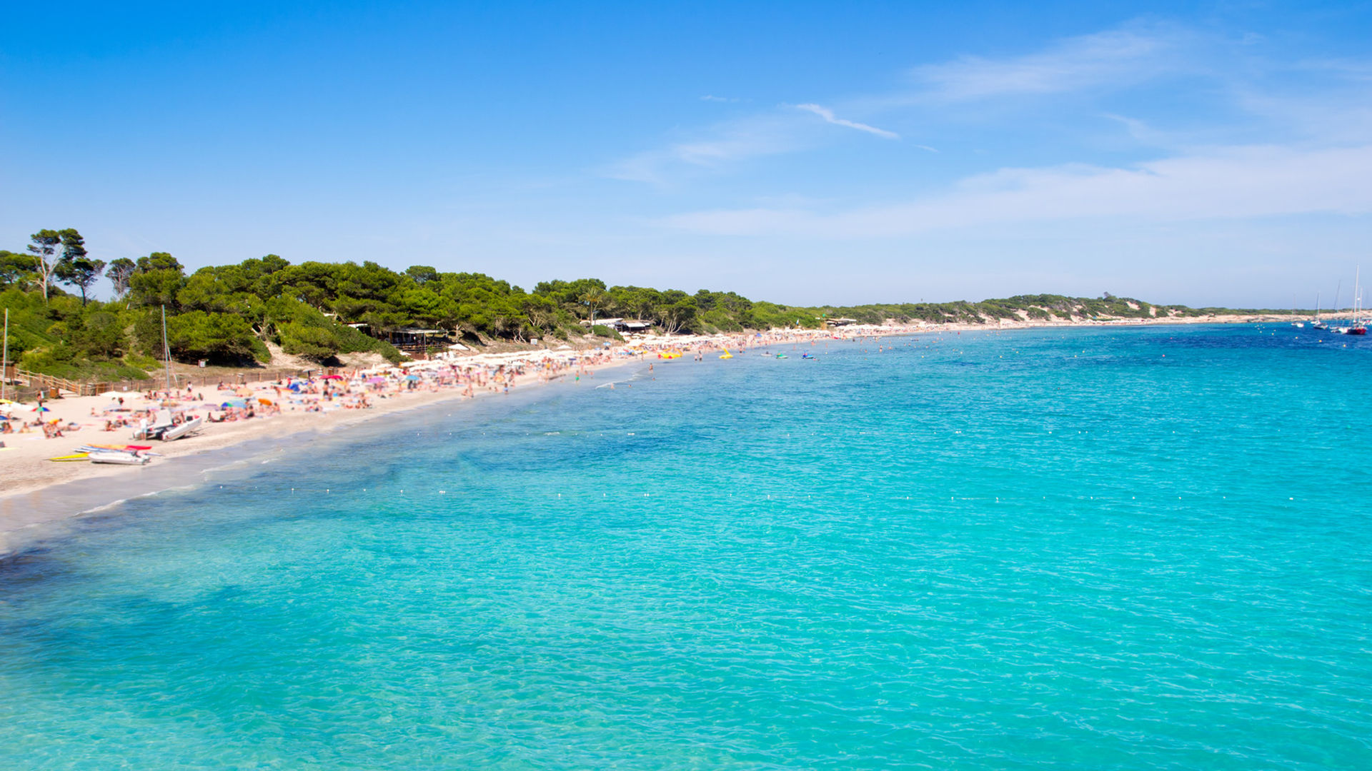 Ses Salines