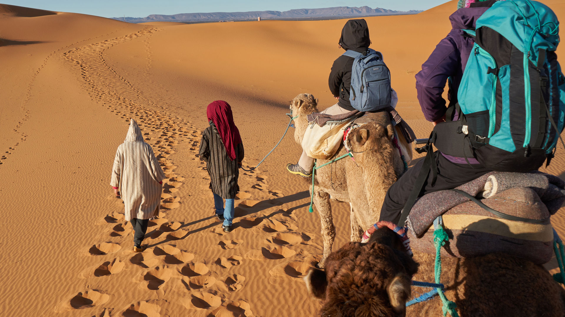 Camels in the Desert