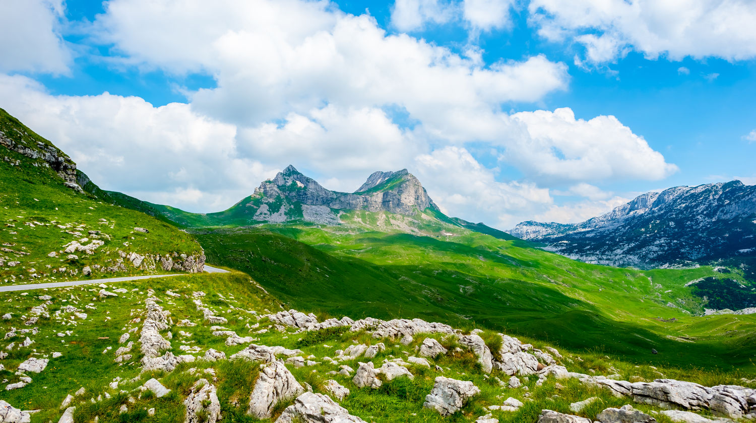 Kotor