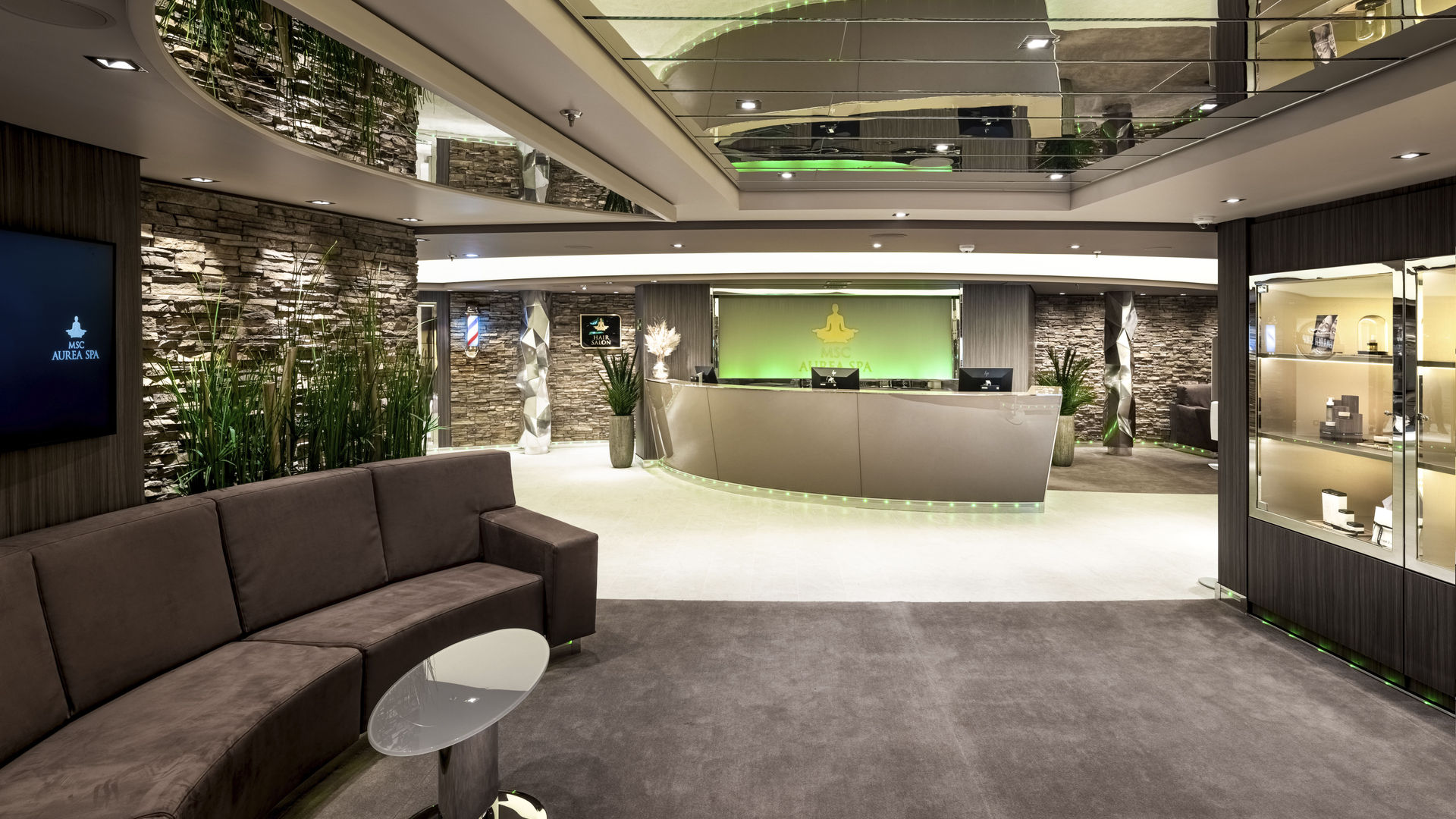 MSC Euribia Cruise