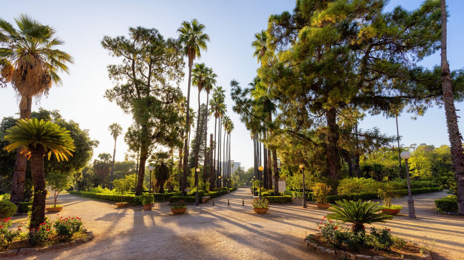 Art, Gardens & Sunset