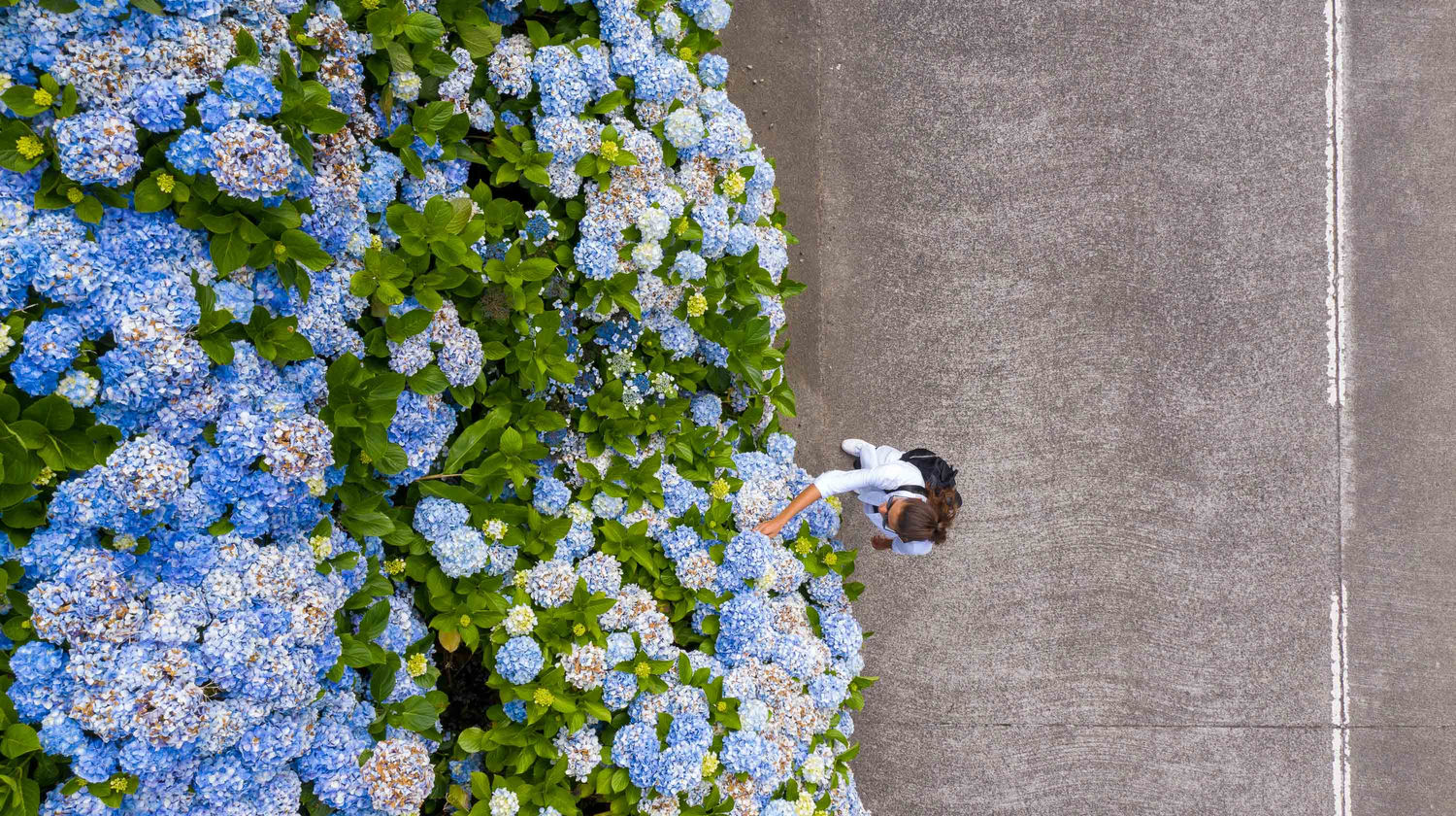 São Miguel Island, the Azores