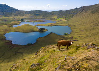 azores trip from portugal