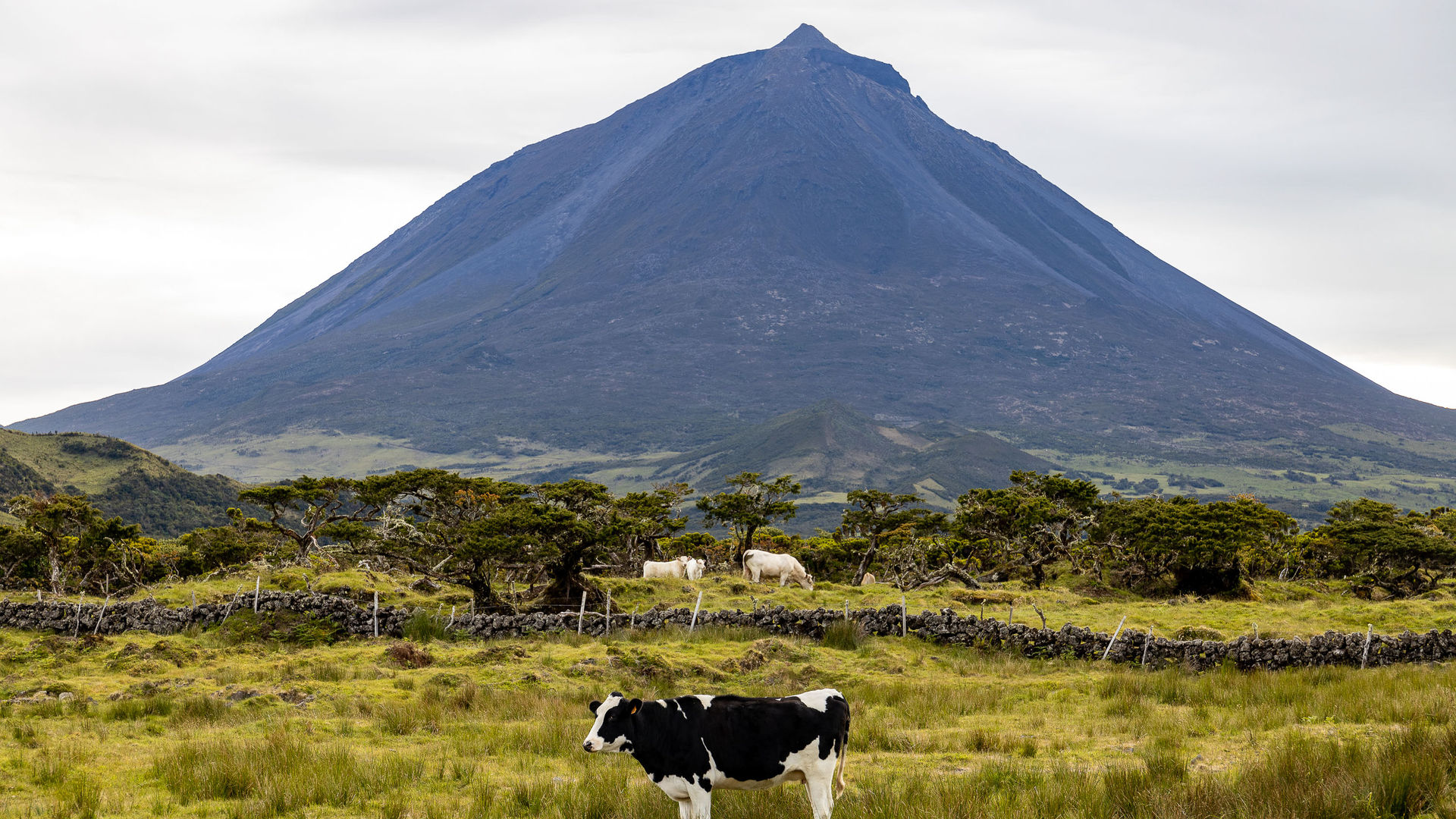 Pico Island