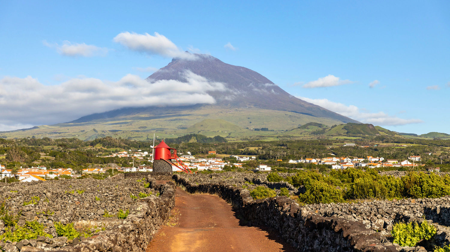 Pico Wine Day Tour (Included)