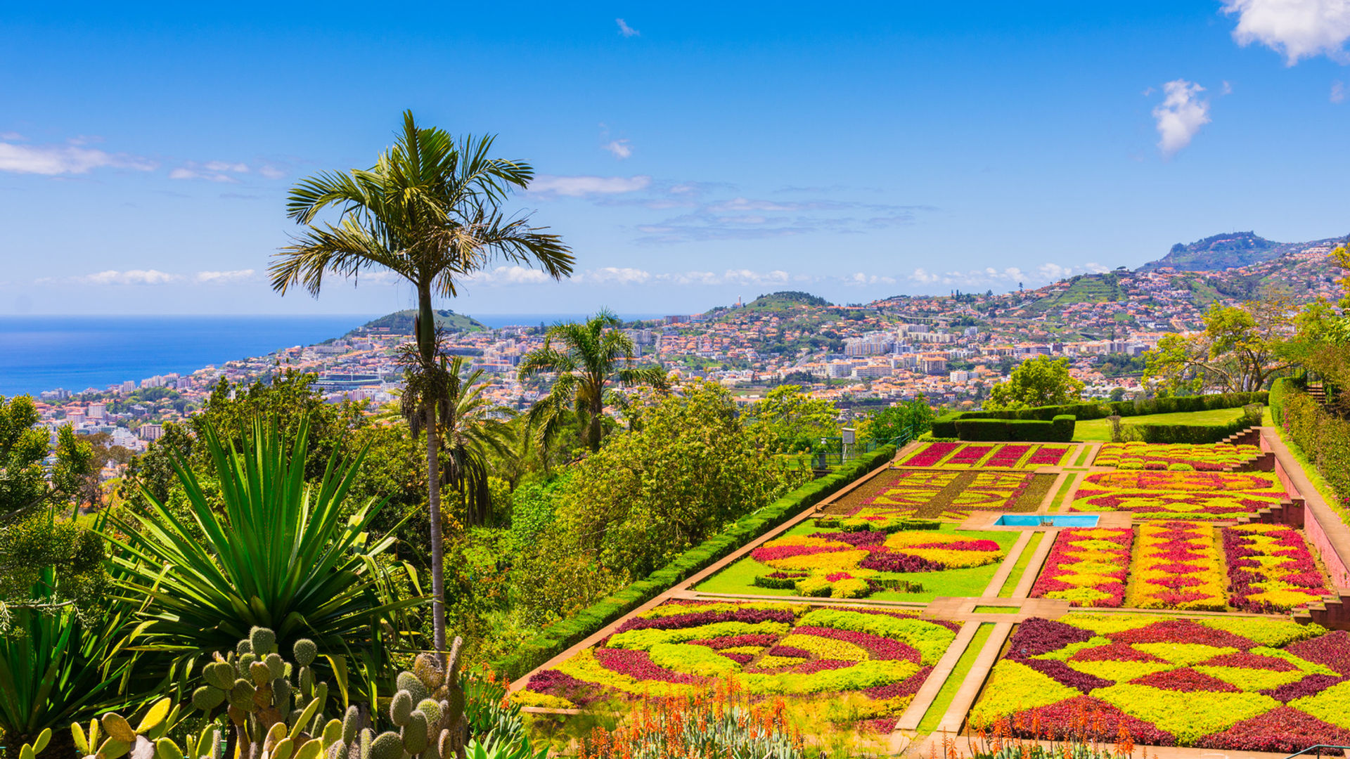 Madeira Island