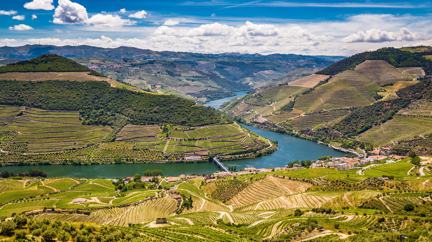 Douro Valley Vineyards