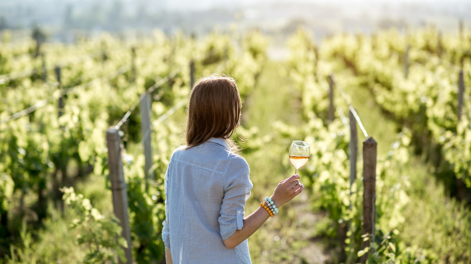 Portuguese Vineyards