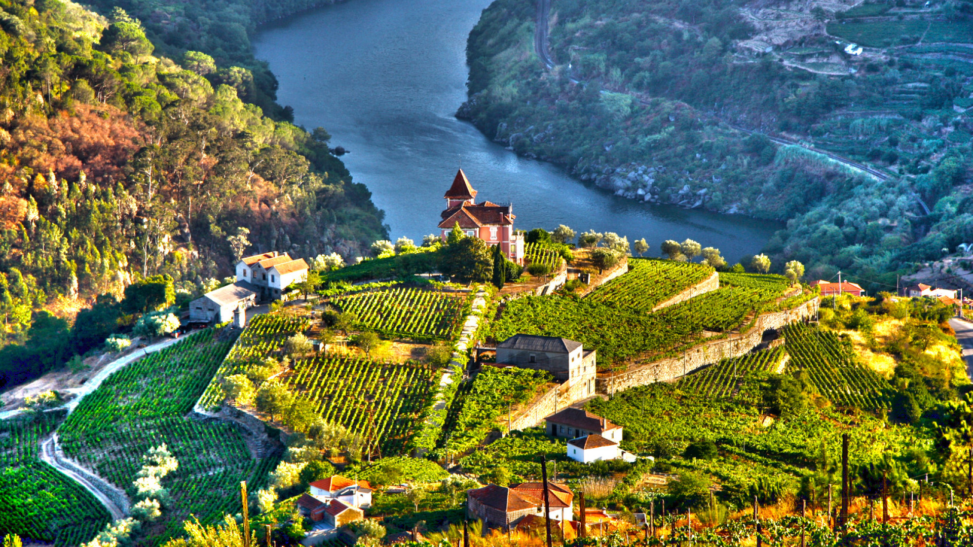 Douro Valley