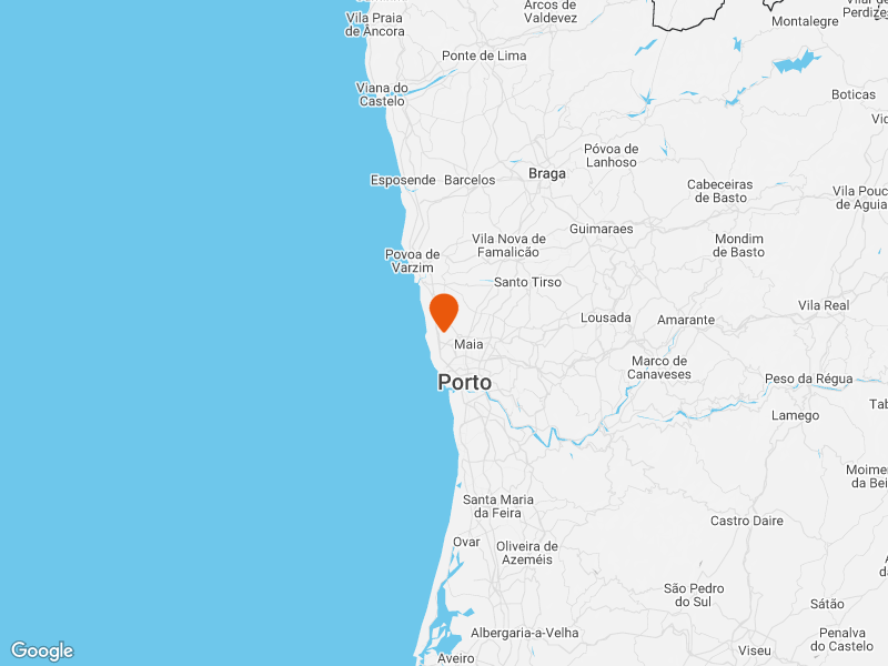 Porto: Food & Wine Experience