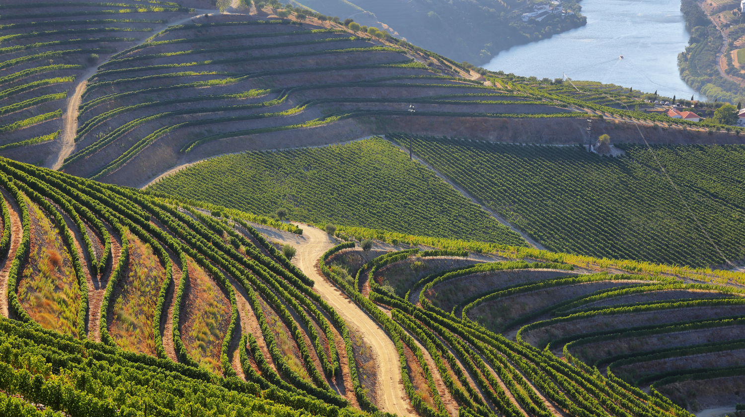 <b>Tuesday: Douro Wine Tour with Visit to 2 Quintas, Tastings, Cruise & Lunch (Included)</b>